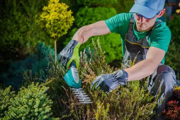 landscaping services Saddle Rock